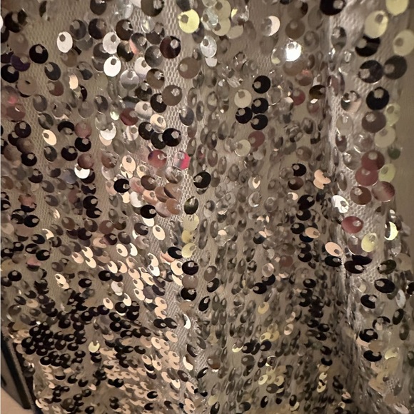 Silver Sequin Dress - Picture 2 of 4